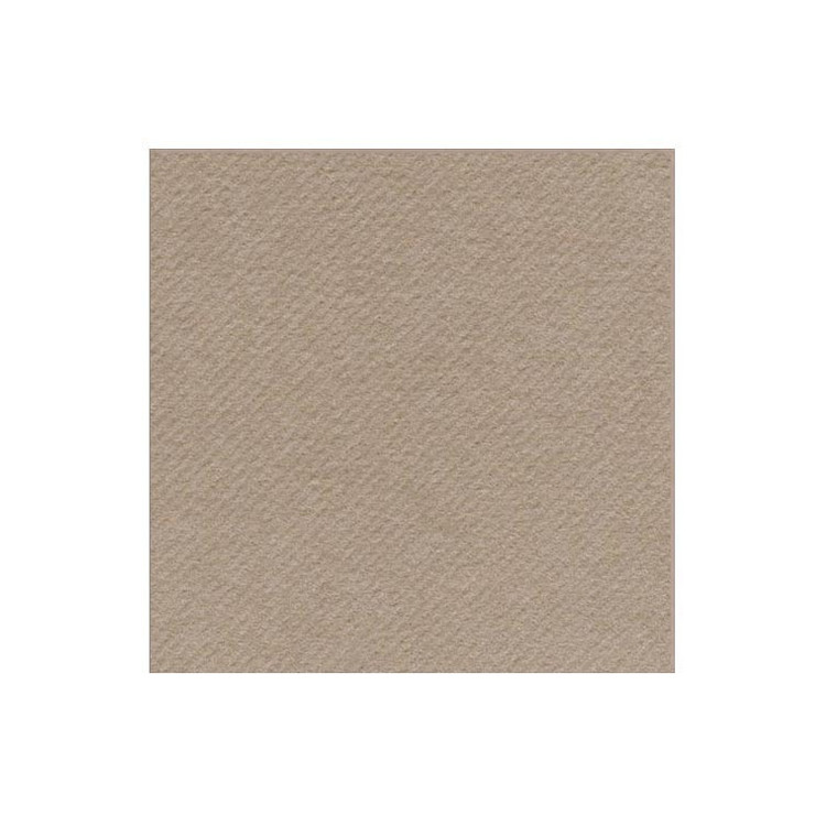 SERVIETTE R SOFT ARGILE PAR 50