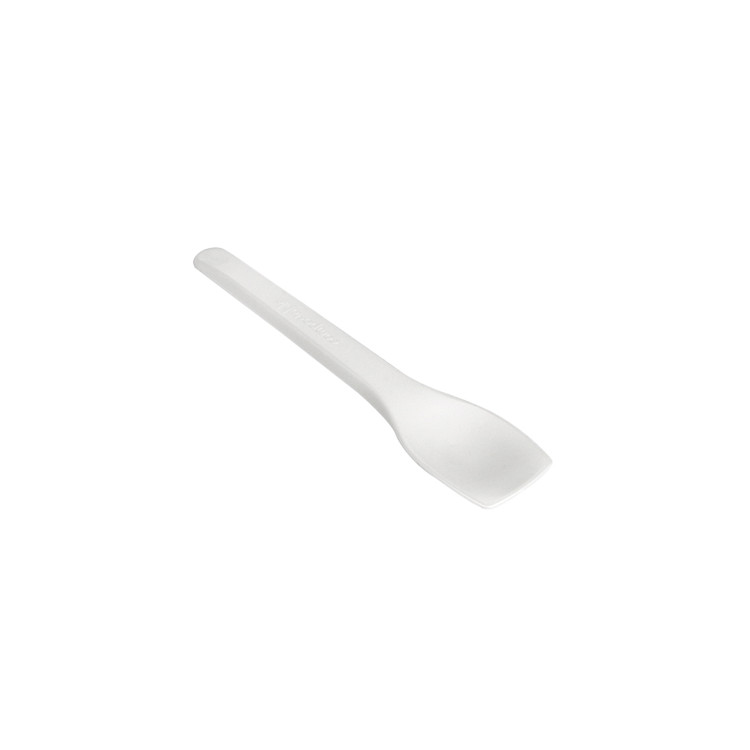 CUILLERE GLACE EN CPLA PAR 100