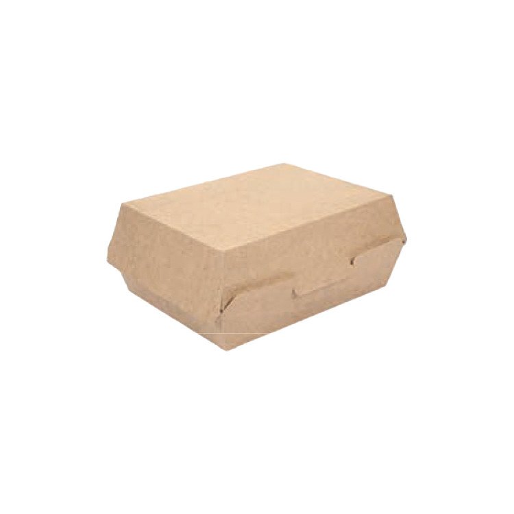 BARQUETTE LUNCH BOX 22.5X17X8.5cm NANOMICRO PAR 300